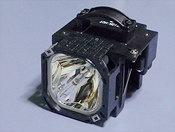 20090429a.jpg