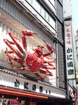 20100514f.jpg