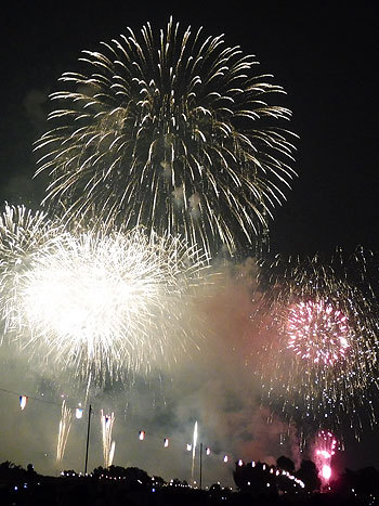 20150803f.jpg