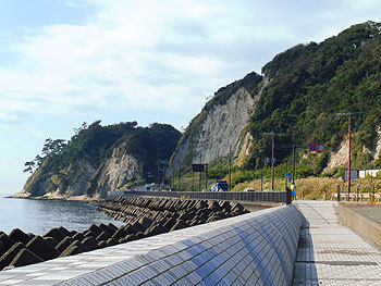20151106c.jpg